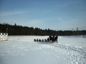 kulig015   